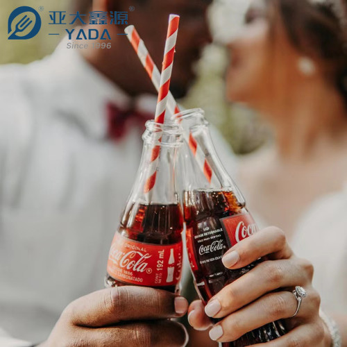 Disposable Colorful Paper Straws Wholesale | YADA Eco-Friendly Drinking Straws | Durable Non-toxic