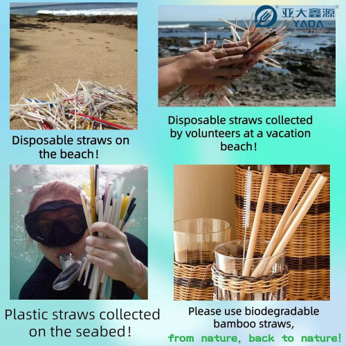 Eco-Friendly Disposable Bamboo Straws Wholesale | YADA 180mm Compostable Reusable Bamboo Straw Bulk