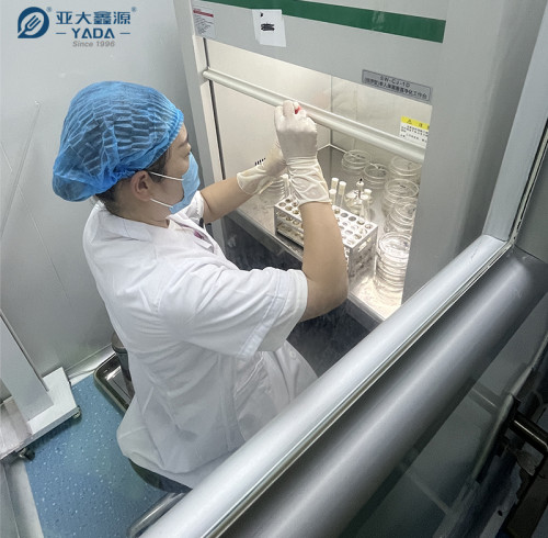 Pruebas microbiológicas de YADA en palitos y cucharas de helado de madera y bambú.