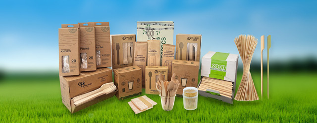 Eco-Friendly Disposable Catering Supplies