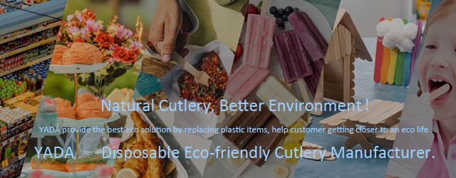 Eco-Friendly Disposable Catering Supplies