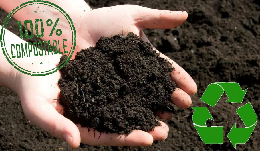 Composting: A Sustainable Alternative