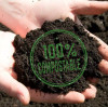 Qual é a diferença entre talheres biodegradáveis e compostáveis? | YADA - Fornecedora de soluções em suprimentos de buffet ecológicos.