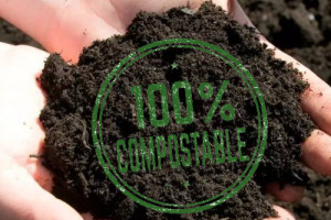 Qual é a diferença entre talheres biodegradáveis e compostáveis? | YADA - Fornecedora de soluções em suprimentos de buffet ecológicos.