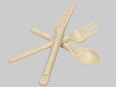 Bagasse Cutlery