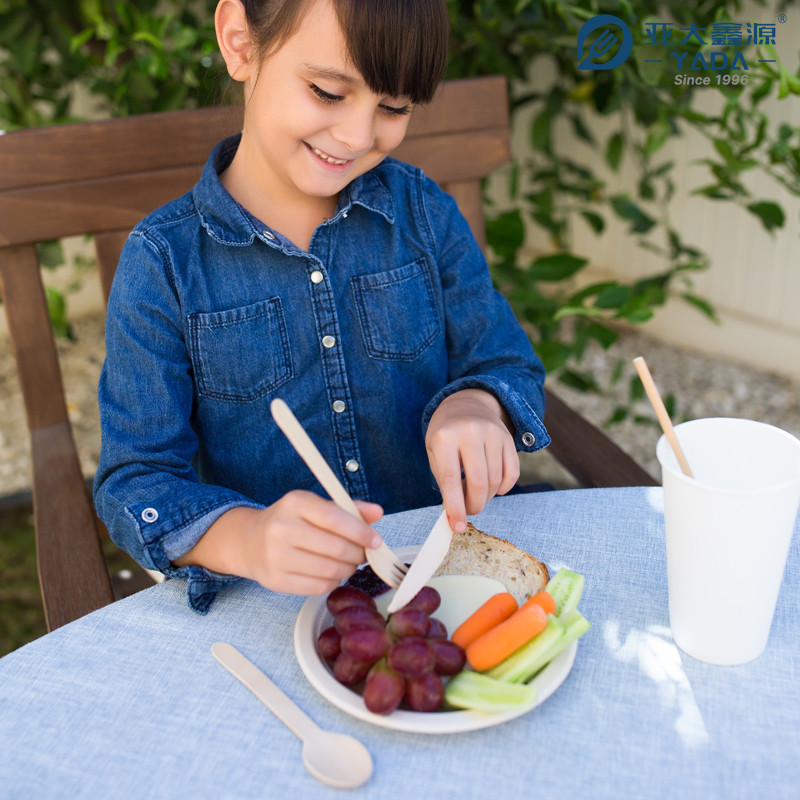 Disposable Wooden Cutlery Set