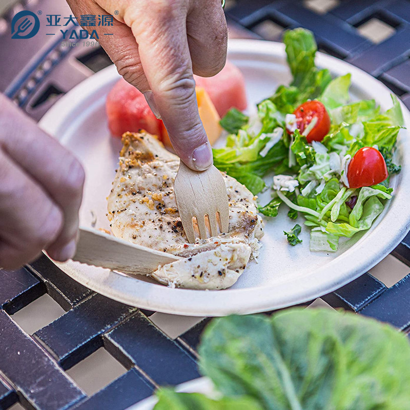 Disposable Wooden Cutlery Set