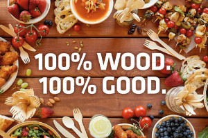 为您的开胃菜选择合适尺寸和款式的一次性木制餐具 | 亚大鑫源