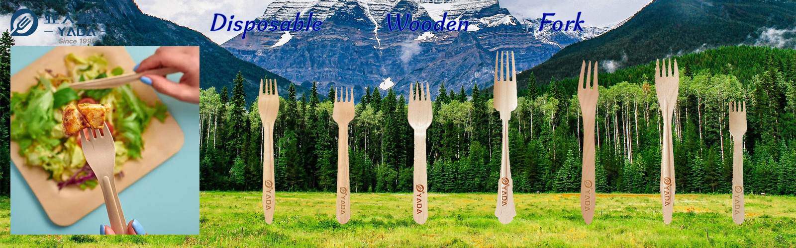 Disposable Wooden Forks Wholesale