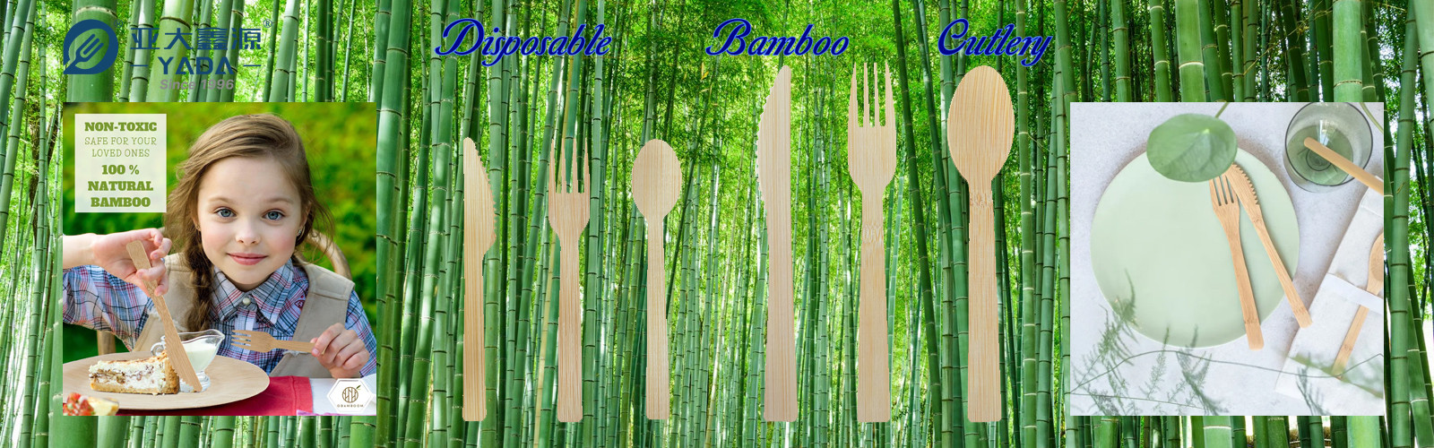 Disposable Bamboo Cutlery Wholesale