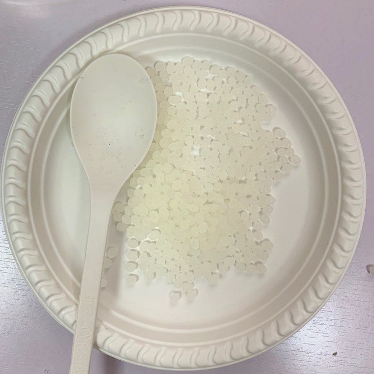 Disposable Polylactic Acid (PLA) Spoon