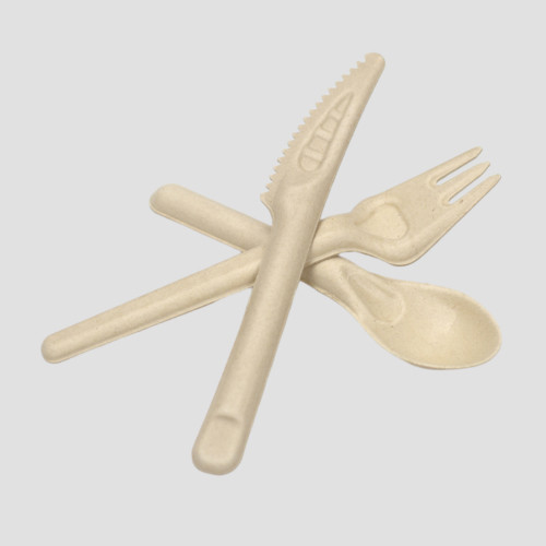 Disposable Sugarcane Bagasse Spoon