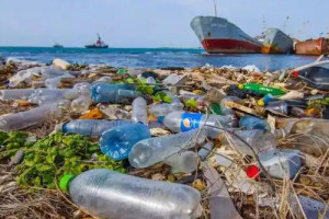 吞食塑料的健康风险：选择安全、环保的餐饮餐具 | 亚大鑫源