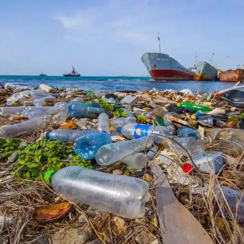 Health Risks of Swallowing Plastic: Choose Safe, Eco-Friendly Catering Tableware