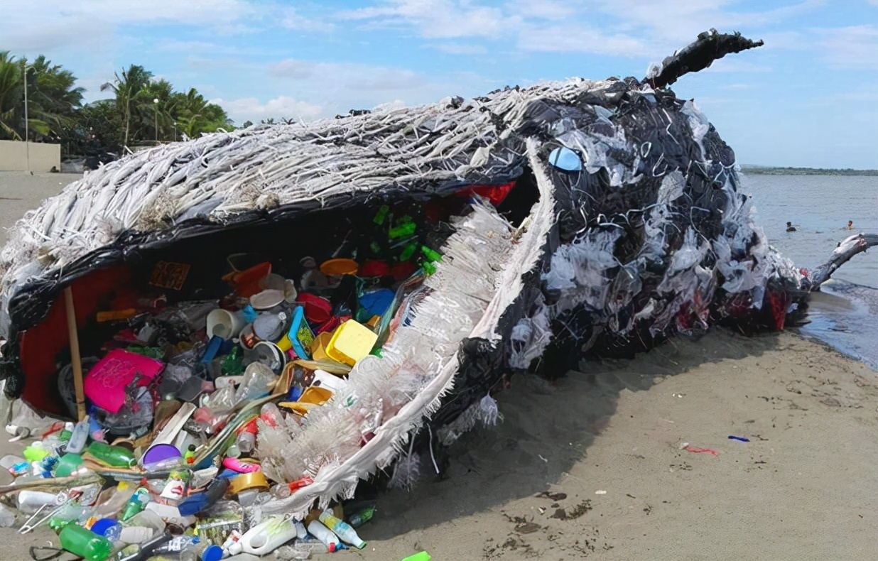 The Environmental Impact of Plastic Pollution