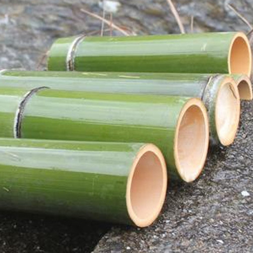 Is Bamboo Poisonous to Humans? Discover Safe and Sustainable Solutions by YADA