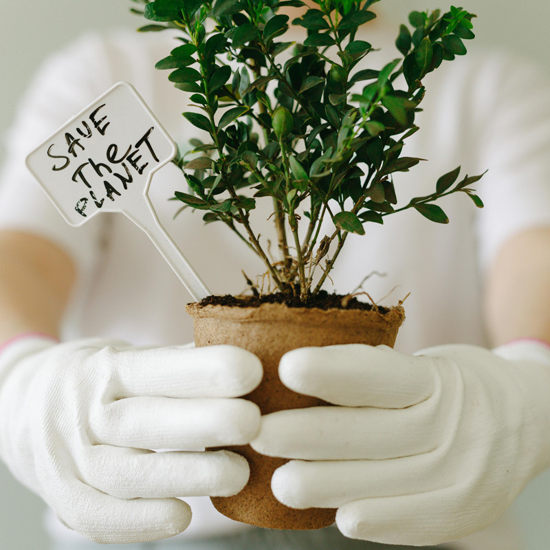 Compostable Wooden Utensils: An In-Depth Look at Compostability
