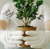 Utensilios de madera compostables: una mirada en profundidad a la compostabilidad