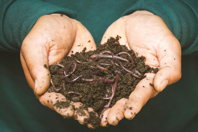 Home Composting: A Guide for Individuals