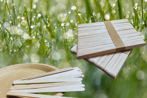 亚大鑫源木质冰淇淋棒深度评测——环保与品质兼具的专业制造标杆