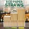 12×230mm Disposable Kraft Paper Straws Wholesale | Biodegradable Brown Kraft Straw for Boba Milk Tea