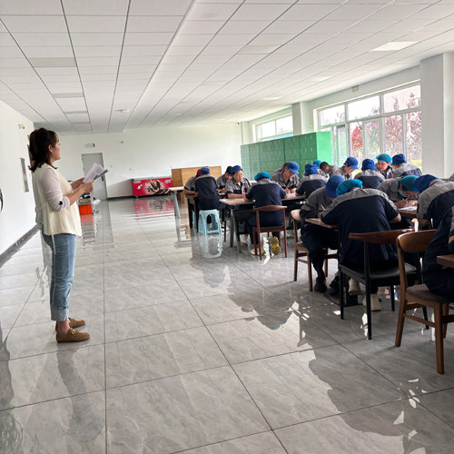 daily staff training, Q&A sessions