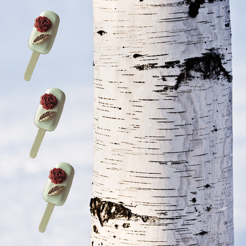 Why Birch Wood is the Ultimate Choice for Ice Cream Sticks: A Deep Dive into Material Excellence
