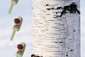 为什么桦木是冰淇淋棒的终极选择:深入探究材料的卓越性