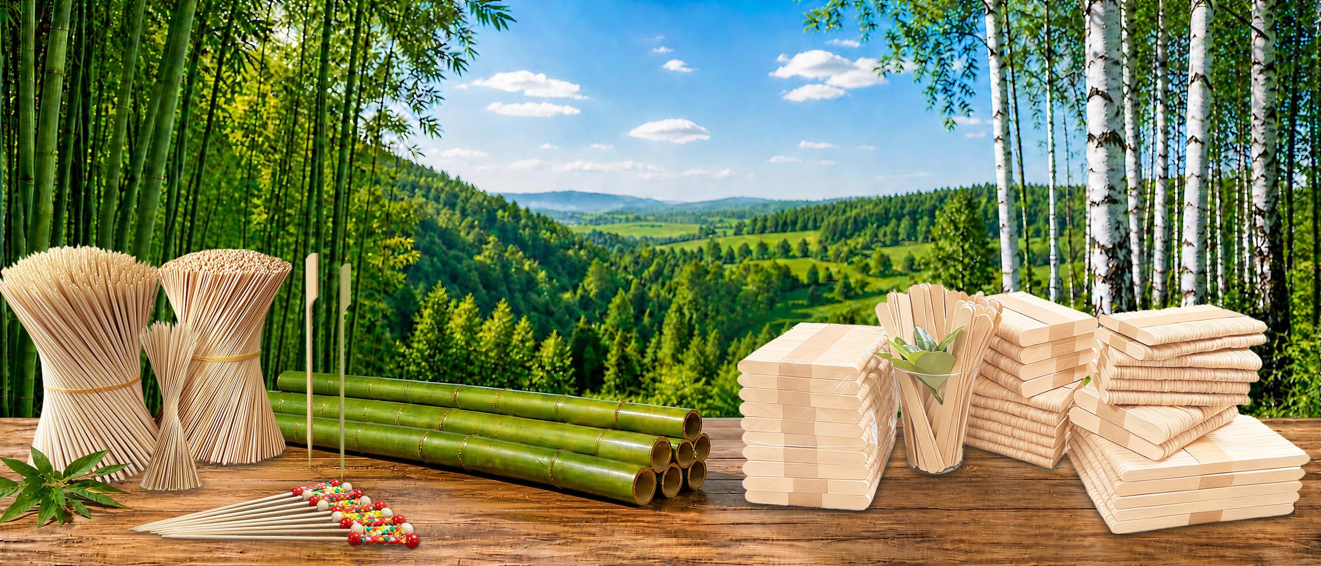 30+ Years of Excellence in Eco-Friendly Disposable Wood & Bamboo Products