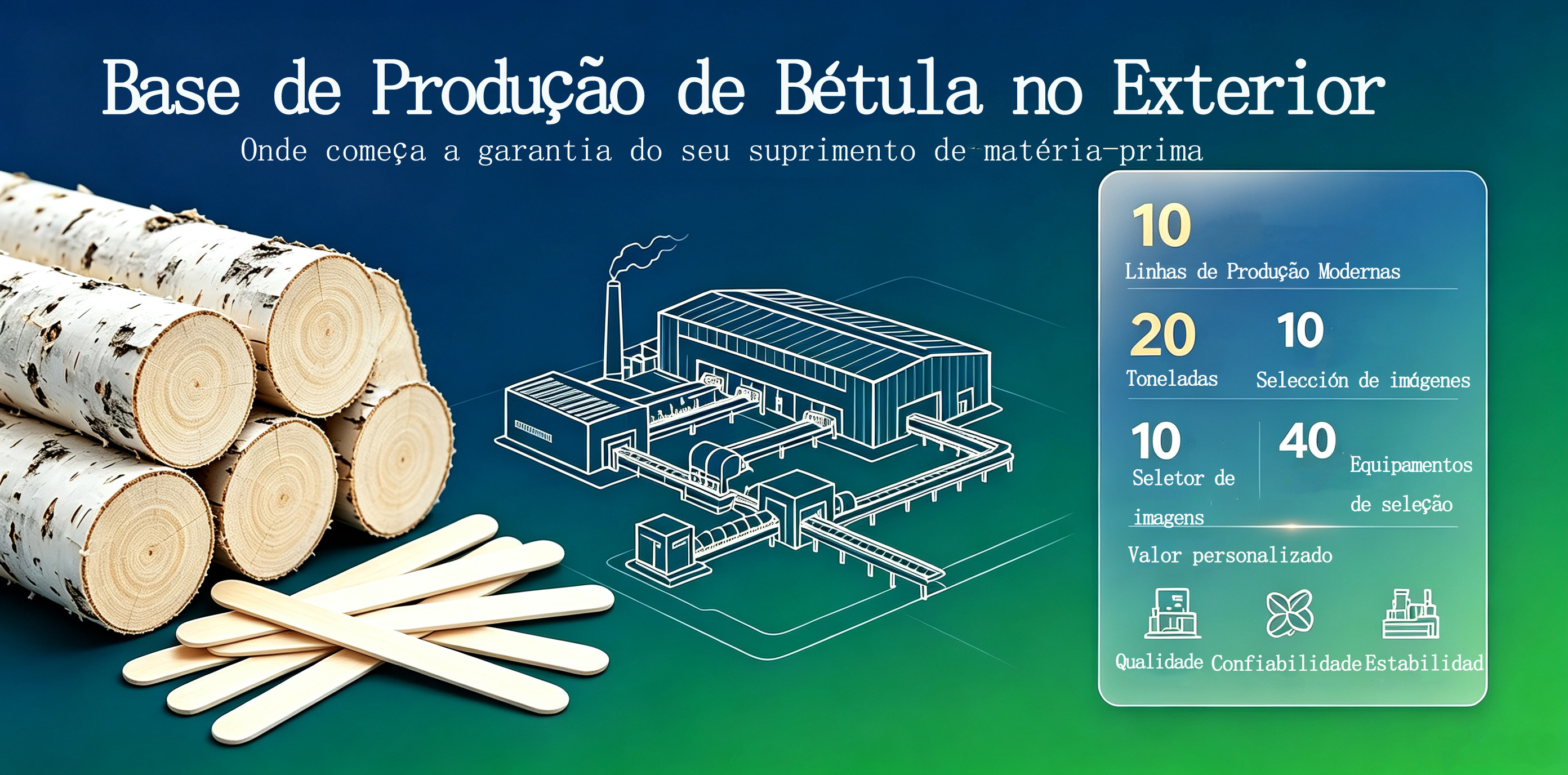 Base de matéria-prima de bétula no exterior