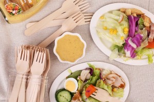 El auge de los suministros de madera desechables para catering: una tendencia que debes conocer