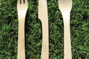 使用桦木餐具的好处