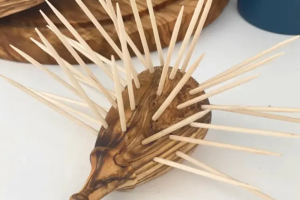 木制牙签的旅程：从桦树林到餐桌