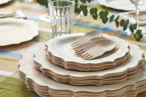 桦木与其他木材：哪种木材更适合制作一次性餐具？