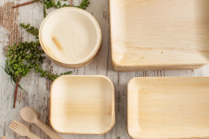 春季户外野餐如何选择一次性木质餐具