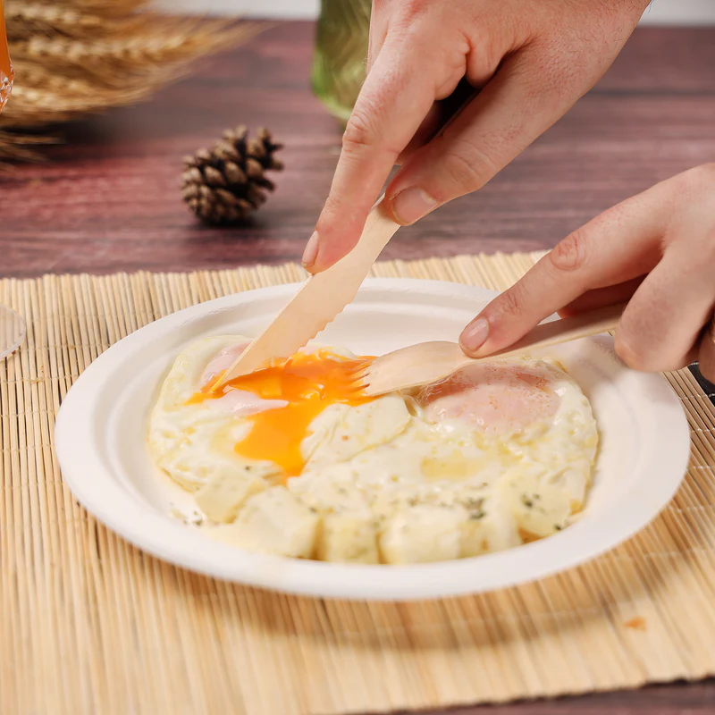 Cost-Benefits of Disposable Wooden Knives for Large Parties