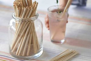 为什么批发环保吸管是可持续包装的未来