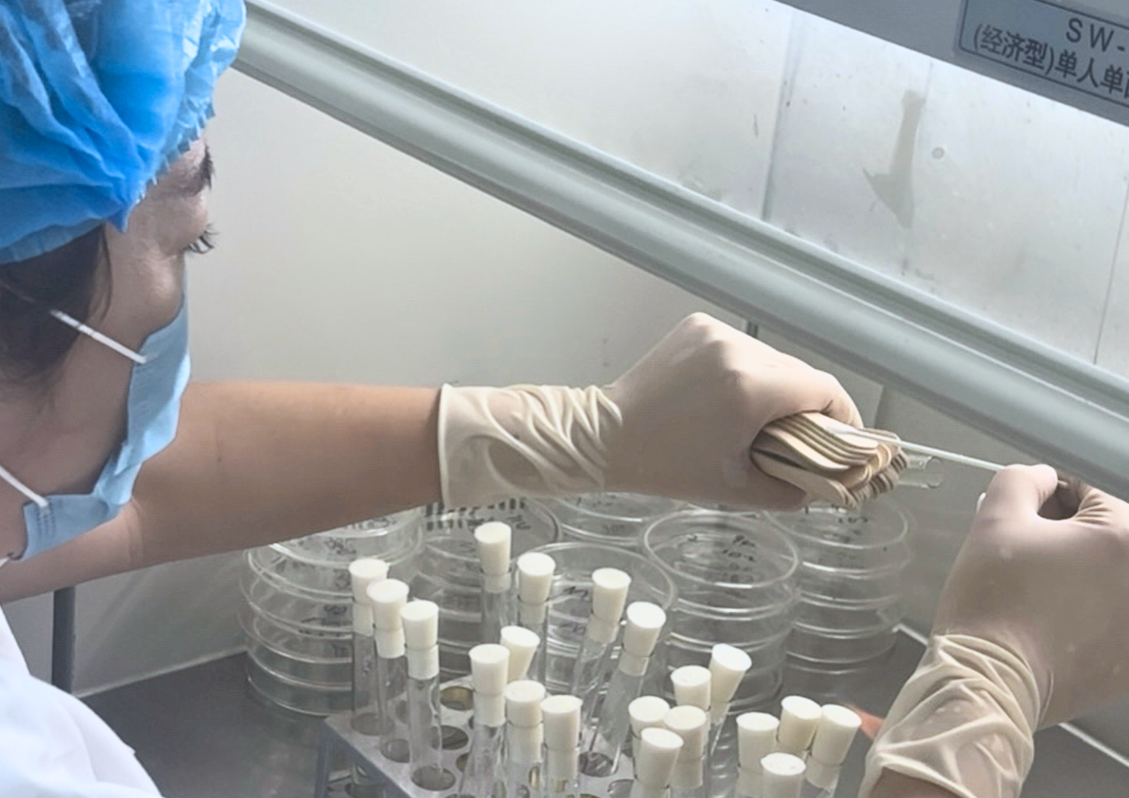 Microbiological Testing for ice cream scoops