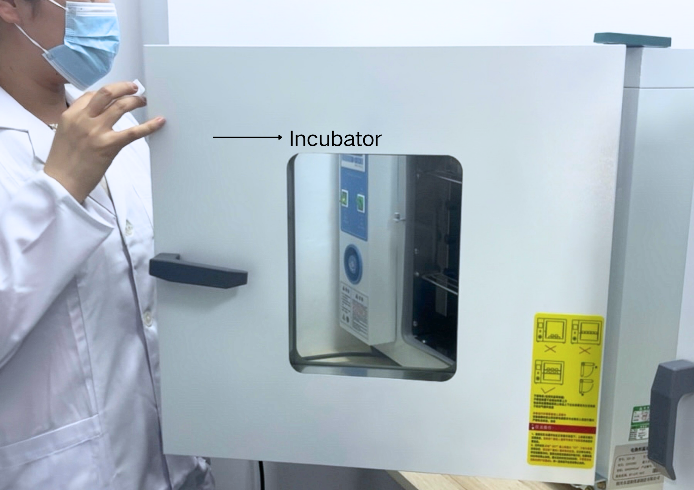 Microbiological Testing