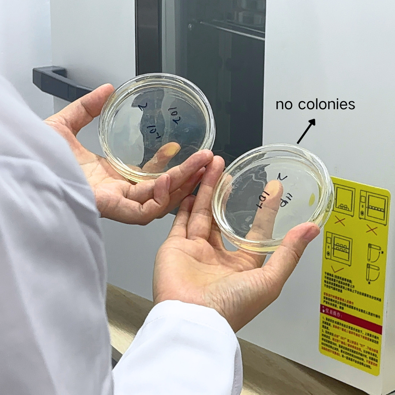 Microbiological Testing for Wooden Cutlery