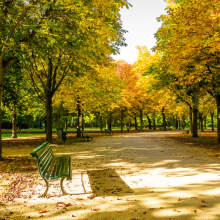 Cool Breeze of Autumn Begins: A Green Season for Biodegradable Bamboo Tableware