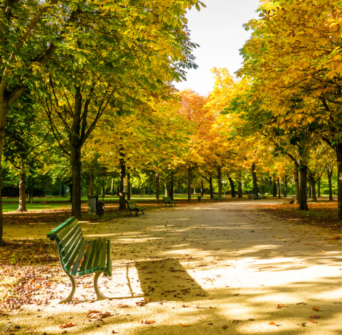 Cool Breeze of Autumn Begins: A Green Season for Biodegradable Bamboo Tableware