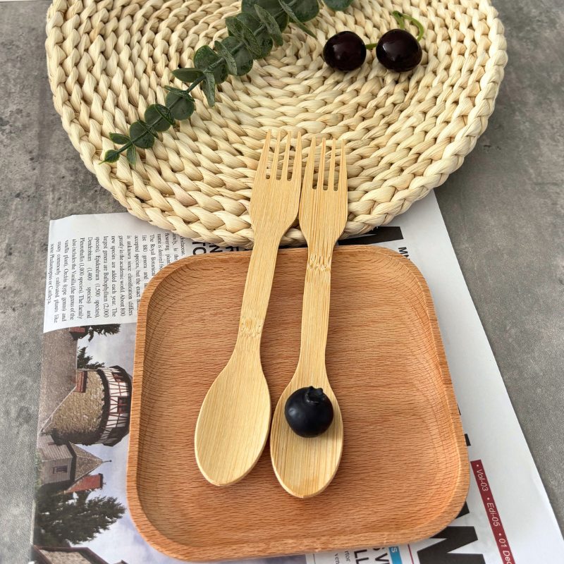 Disposable Bamboo Spoon for Sale