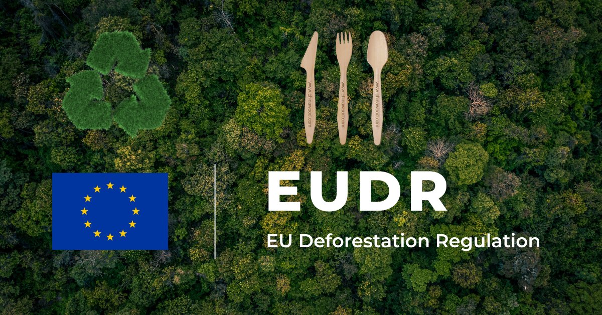 What Is the EUDR, and Why It Matters for Wooden Cutlery Exporters