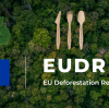 What Is the EUDR, and Why It Matters for Wooden Cutlery Exporters