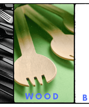 Biodegradable Sporks Guide Pros Cons Cost and Impact