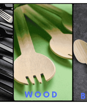 Biodegradable Sporks Guide Pros Cons Cost and Impact