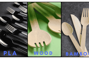 Biodegradable Sporks Guide Pros Cons Cost and Impact