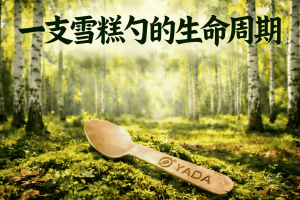 木制冰淇淋勺的生命周期：从森林到堆肥