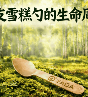 木制冰淇淋勺的生命周期：从森林到堆肥